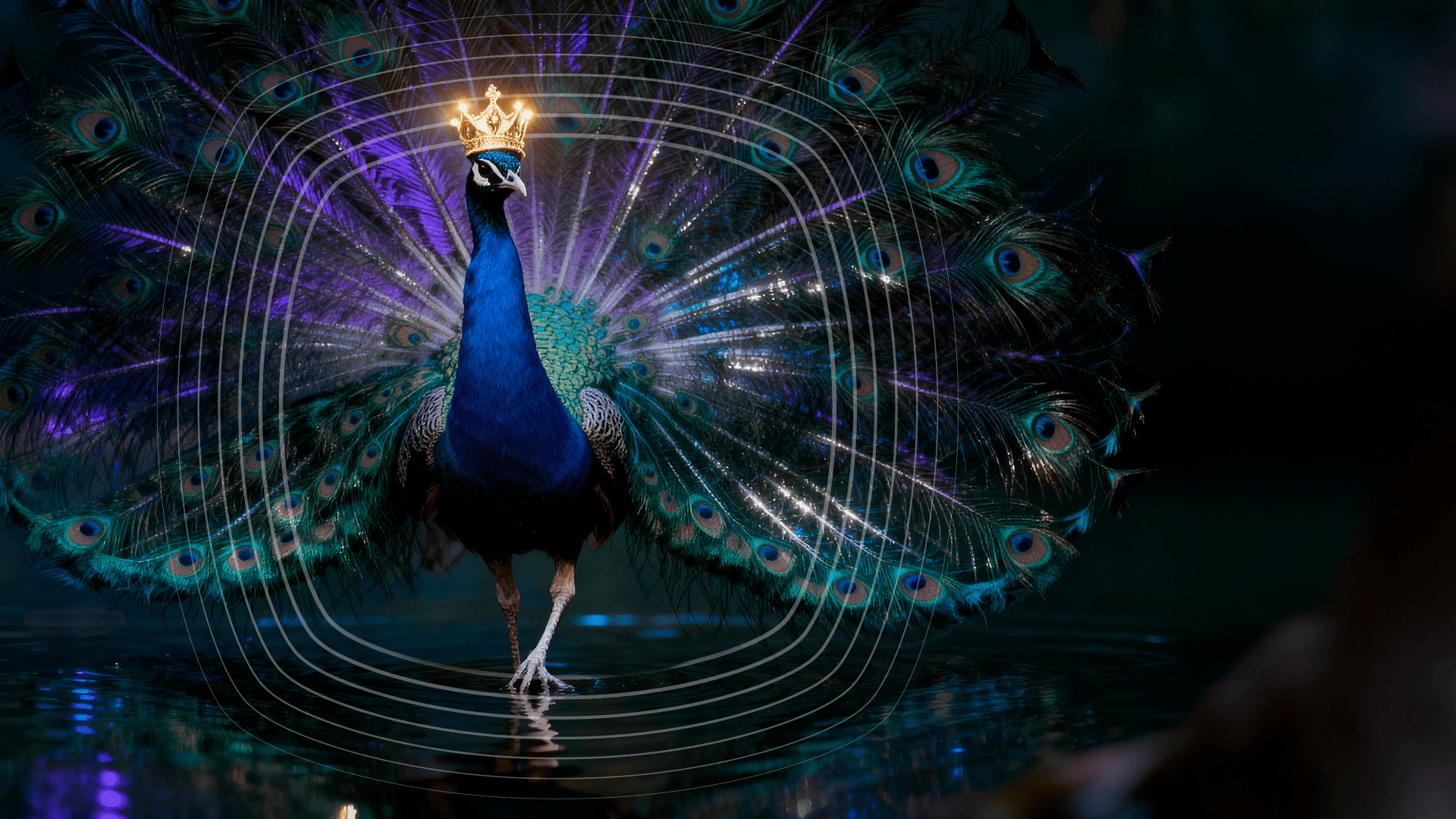 Ser visto, lembrado e desejado. Isso faz a sua marca